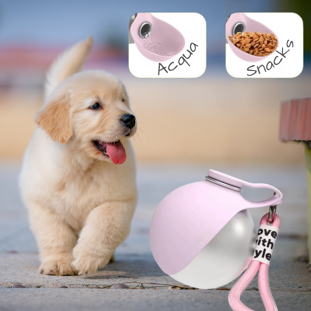BuddyBottle – La borraccia compatta per il tuo cane